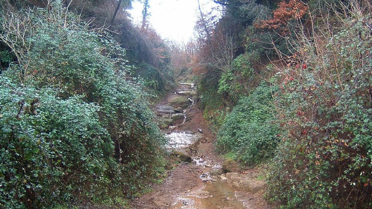 SIC Area di San Giovenale e Civitella Cesi